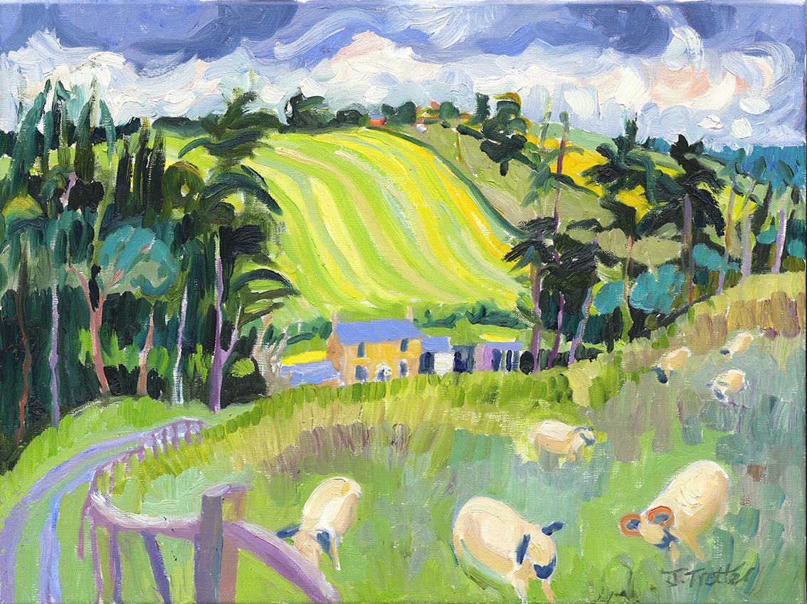 Josephine Trotter Cotswold Sheep Painting